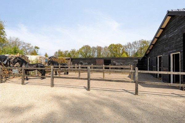 Medium property photo - Langwarderdyk 12, 8521 NE Sint Nicolaasga